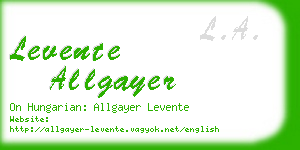levente allgayer business card